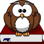 Owl on Book